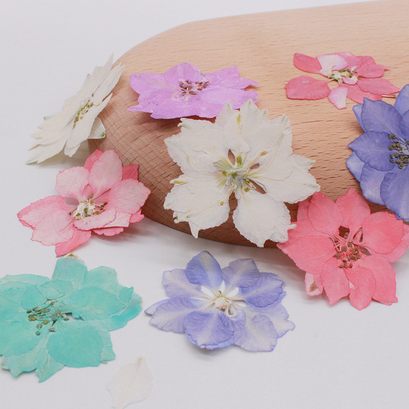 Flying Swallow Flower, Houndstooth Flower, Dried Flower Embossed DIY Handmade Glue Phone Case, Manicure Photo, Face Makeup, Aromatherapy Candle Flying Swallow Flower, Houndstooth Flower, Dried Flower Embossed DIY Handmade Glue Phone Case, Manicure Photo, Face Makeup, Aromatherapy Candle