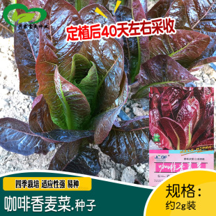 ���S���������˷N�� �r��ˈ@�����̨��������ڸ������������