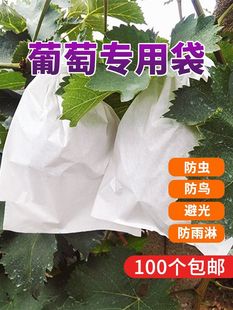 Grape Bagging, Special Insect-Proof and Bird-Proof Bag for Grapes, Fruit Protection Bag, Paper Bag for Grapes, Grape Waterproof Bag
