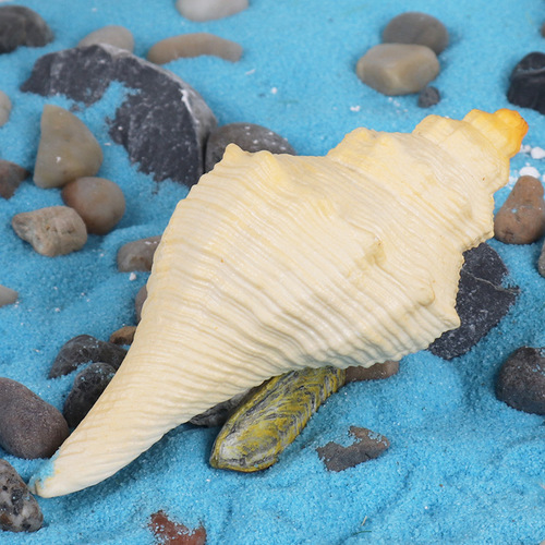Children's solid simulated ocean animal toy model sea snail abalone conch bivalve cognitive gift fish tank decoration