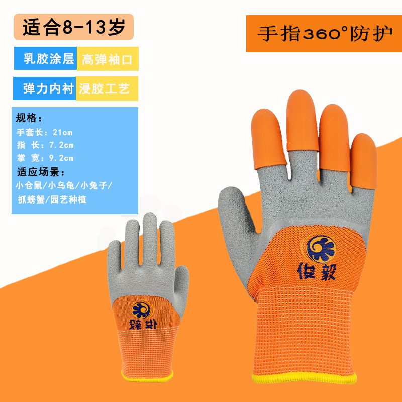 8-13 년 된 바다 준설 오렌지