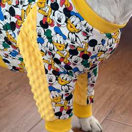 大型犬护肘服秋冬居家狗狗护肘服拉布拉多护关节衣服短款护肘服