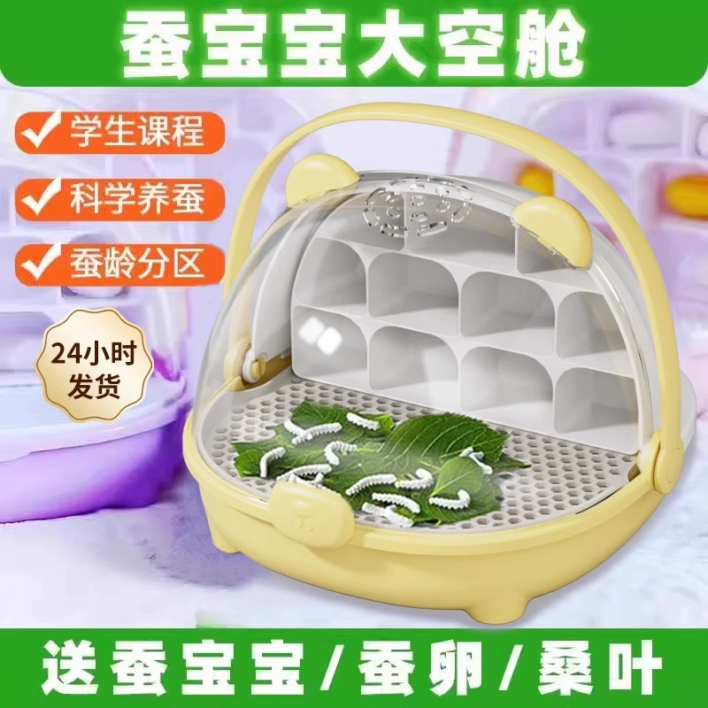 Baby Baby Шелкопряд набор живых яиц для наблюдения за слепыми коробками