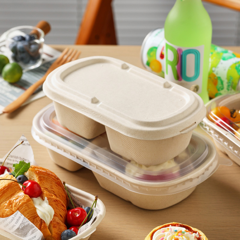 Disposable lunch box fruit packing box spring outing picnic camping outdoor lunch box single and double box environmentally friendly biodegradable