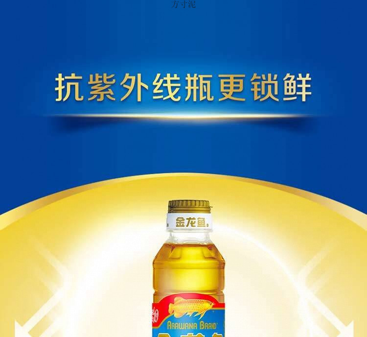 3d51e371-7388-4c37-b861-122ee2b09ae7.jpe