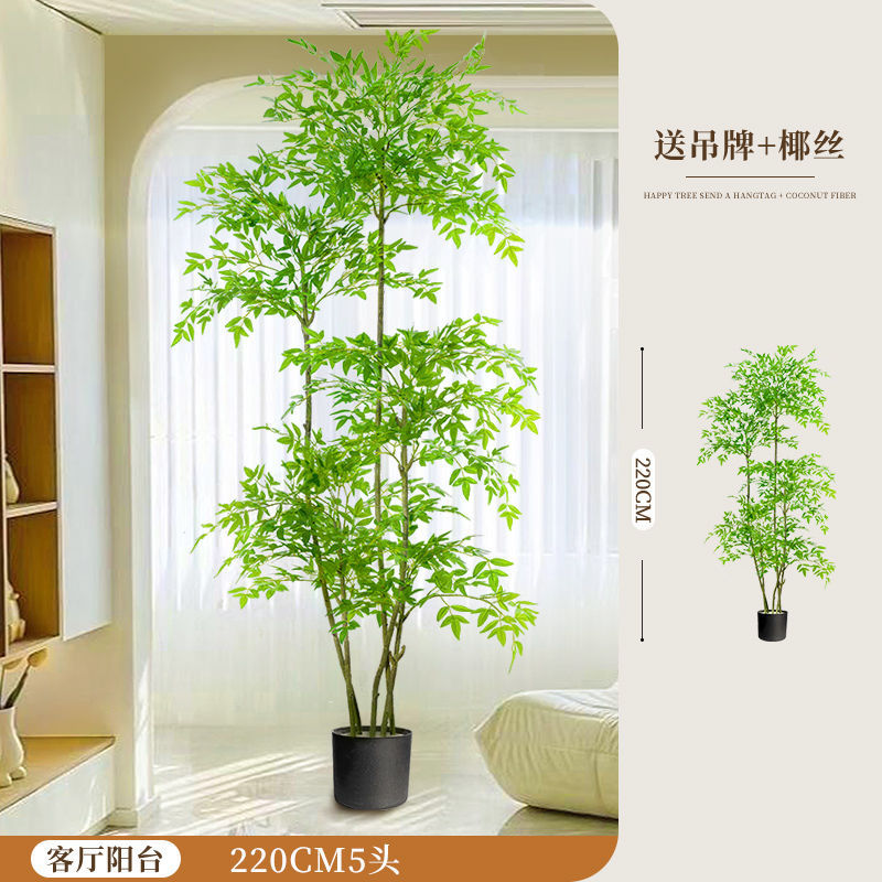 [핫스타일 업그레이드] 200CM-5 남방대나무-작은 검은색 냄비+갈색 실크+태그