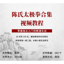 从老架视频教程精通陈式太极实战新架陈氏入门太极拳视频教程到