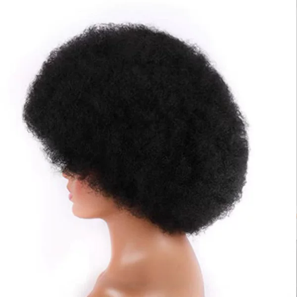Small Afro Curly Wig, Afro Wig, Human Hair Wig, Lace Front Wig