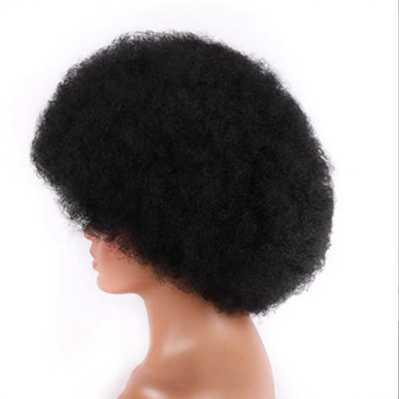 Small Afro Curly Wig, Afro Wig, Human Hair Wig, Lace Front Wig Small Afro Curly Wig, Afro Wig, Human Hair Wig, Lace Front Wig
