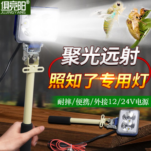 ֳʽͲLEDˮh12V/24Vƿs