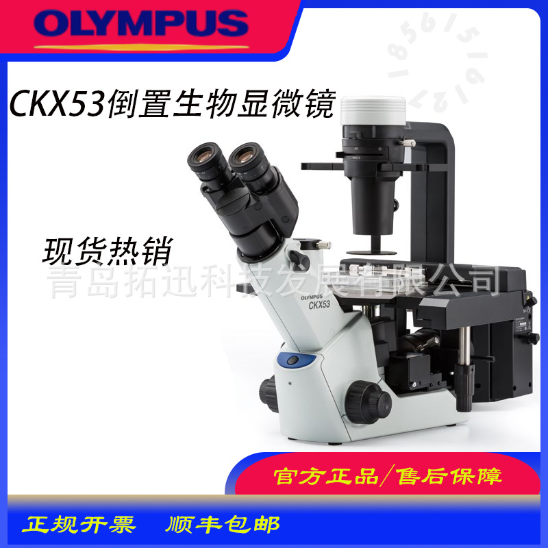 OLYMPUS奥林巴斯光学显微镜CKX53实验室专用科学研究显微镜
