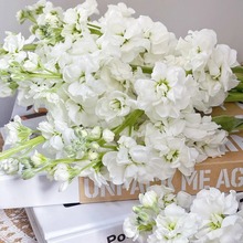 A����ɫ���_�m�r���������ֱ�l��c�Fُ�û�