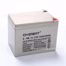 �����������y��ʽ��늳�6-FM-12��������12V12Ah����Դ