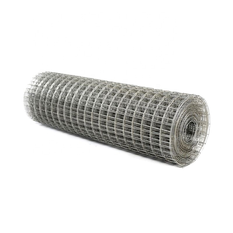 Galvanized Welded Wire Mesh