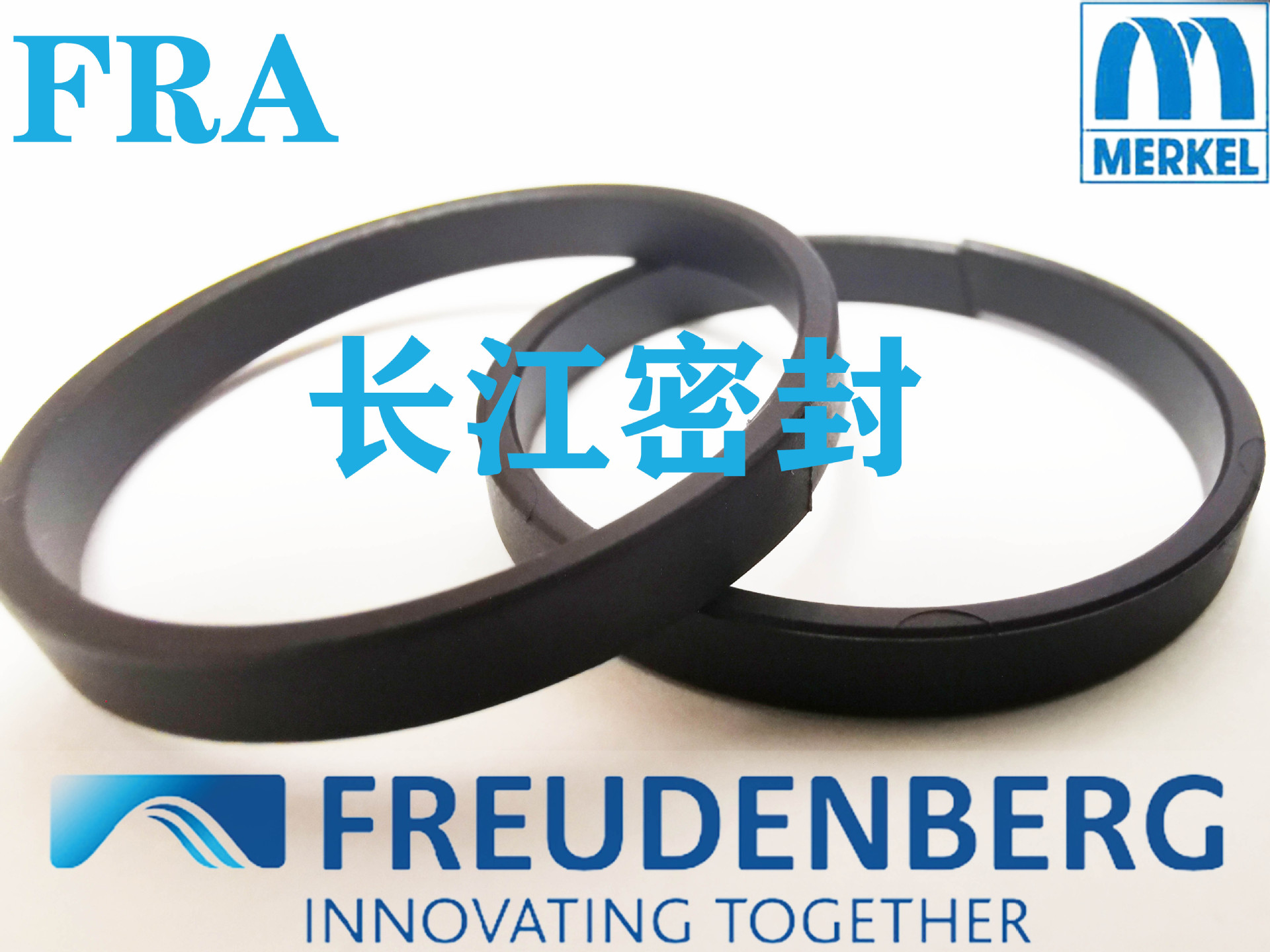 德国Merkel导向环 FRA 型 进口油缸导向环180-175-14.8