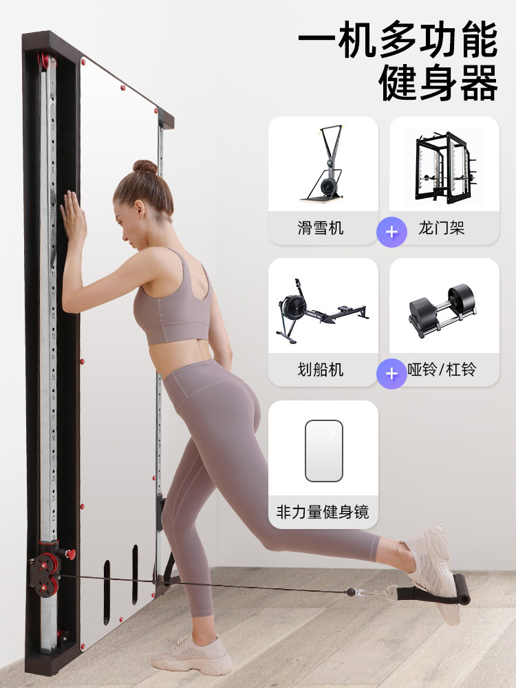 Pórtico de pájaros montado en la pared espejo de pared de un solo lado montado en la pared para el hogar pequeño pájaro poder entrenador integral