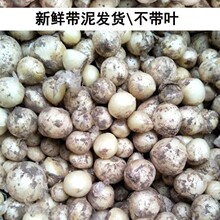 ��ˊ�^�������r��ˊ�^�Ĵ����w���ɽ�[С��̦�F�[Ұ�[ޯ��С����