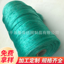 安平泰泽厂家批发供应草坪网 种草网 草皮网 塑料网 草卷网