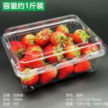 一次水果盒一次性盒子带盖透明塑料草莓一斤装500克打包盒包装盒