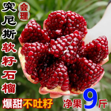 突尼斯软籽石榴5斤大果新鲜水果应当季四川会理无籽石榴整箱