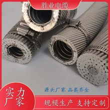 ӹLGKK-600 US ߏоXg yX