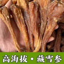 高海拨藏血参 藏雪参 雪人参 血人参 玉人参西藏雪人参好