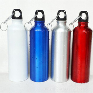 ��ʽ750ml�p�ӱ�y�\��ˮ���X�ؑ����T��܇�dˮ����ڱ���ɫˮƿ