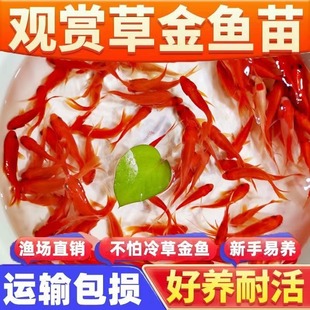 �B�����Ľ��~�^�p�~��ؔС���~���l�ͻ���B��ˮ���~