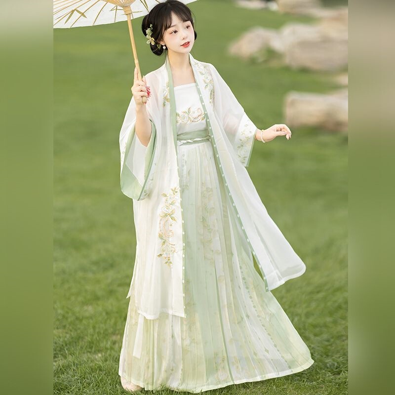 Song Dynasty-Style Hanfu for Women, Nanchang Temple Daily Wear, Printed and Embroidered Pleated Skirt, Summer Style Song Dynasty-Style Hanfu for Women, Nanchang Temple Daily Wear, Printed and Embroidered Pleated Skirt, Summer Style