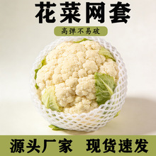 ���˱��o�W��ˮ����ײ��ĭ�W��̖�Ӻ������޾W���ײ˼t����ĭ����