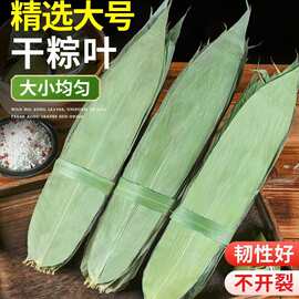 粽子叶粽叶干大号棕叶新鲜包粽子的竹叶子干粽叶商用箬叶批发材料