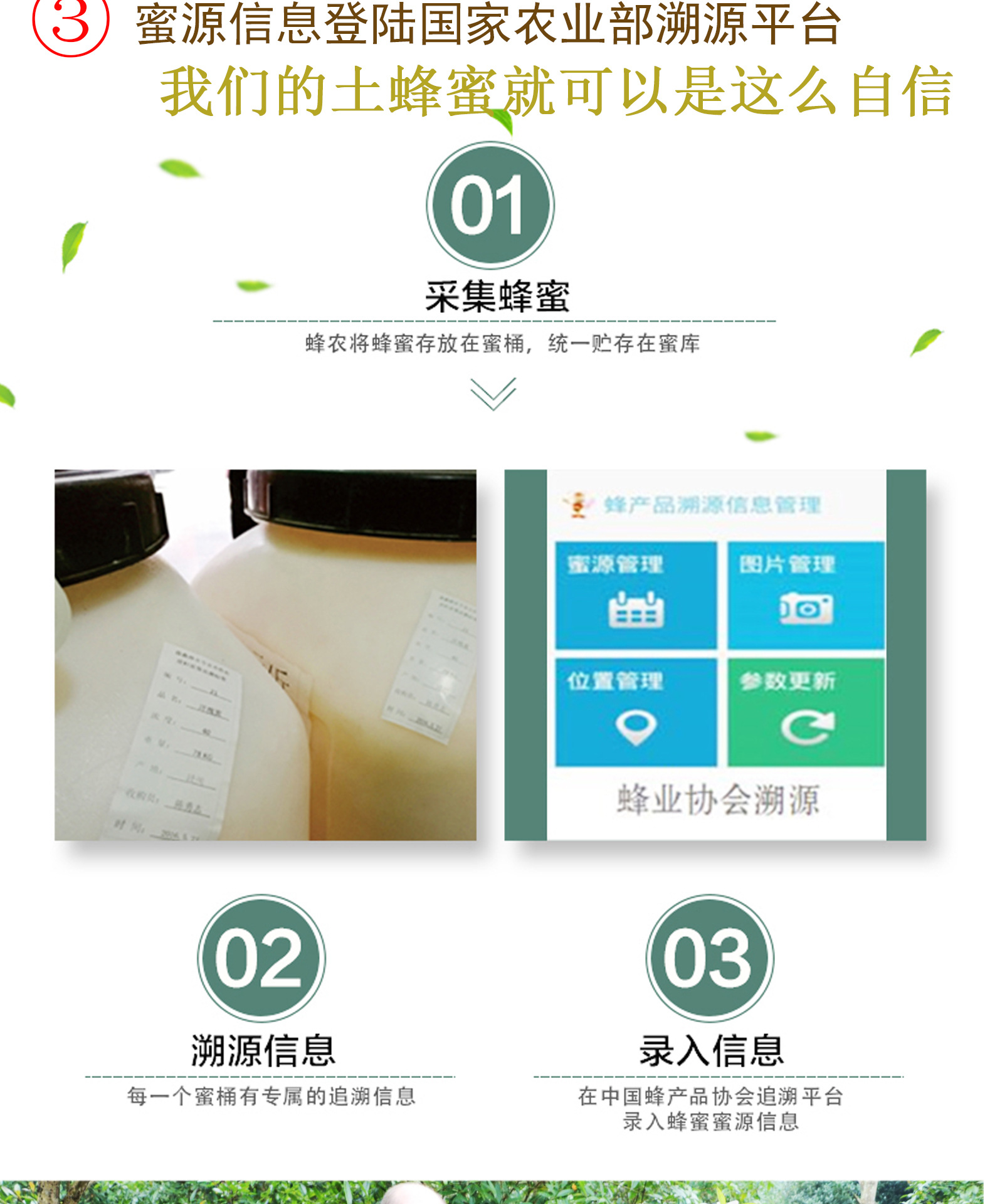 500g土蜂蜜寶貝詳情1_10