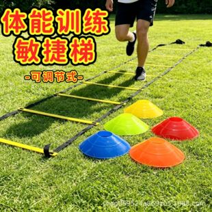 �羳����Ӗ���������K���������ϵK�ﲽ������Ӗ��ܛ���ٶ�������