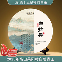 2025年福鼎白茶高级白牡丹王饼300g日晒白茶茶饼厂家批发送礼收藏
