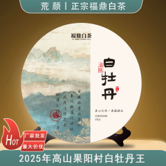 2025年福鼎白茶高級白牡丹王餅300g日焼け白茶餅メーカー卸売りプレゼントコレクション