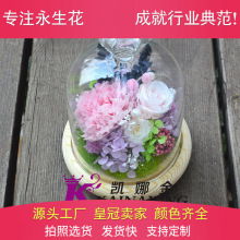新款玻璃罩永生花礼盒 七夕情人节教师节礼物创意实用 一件代发