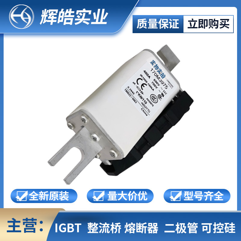 170M1418 170M1419 熔断器 熔断器配件 保险丝 电子元器件