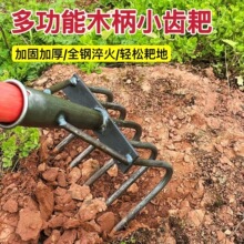 �i䓶๦��5�X�����s���������r�û����ҷN���Բ˷����@ˇС����