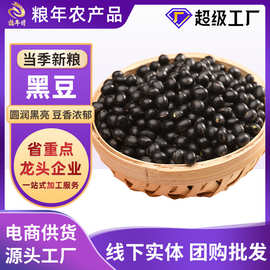 东北农家黑豆绿心生豆子发芽打豆浆专用无染色真空袋装新货生黑豆