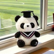 毕业礼物博士熊毛绒玩具小熊猫玩偶公仔大学硕士学校纪念品送学生