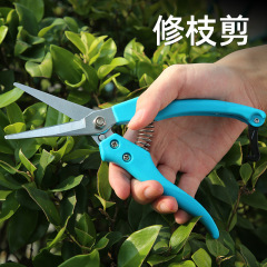 短直頭摘果剪園藝修枝剪刀水果桔子蔬菜採摘葡萄剪子采果摘果剪刀