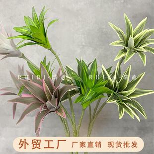 3���߅�ٺ������Gֲ�@ˇ�����bҾӔ[����c�������廨�b�