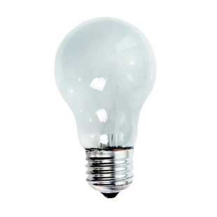 Factory supply electrostatic 100WA bulb electrostatic frosted bulb frosted Bulb specifications please note