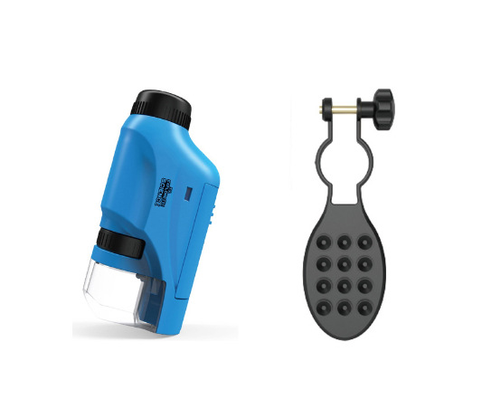 블루 (영어) 플러스 브래킷