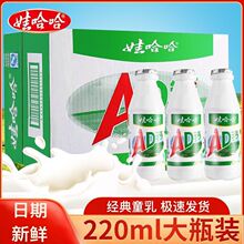 娃哈哈ad钙奶24瓶整箱儿时怀旧哇哈哈儿童乳酸夏季饮品饮料批发