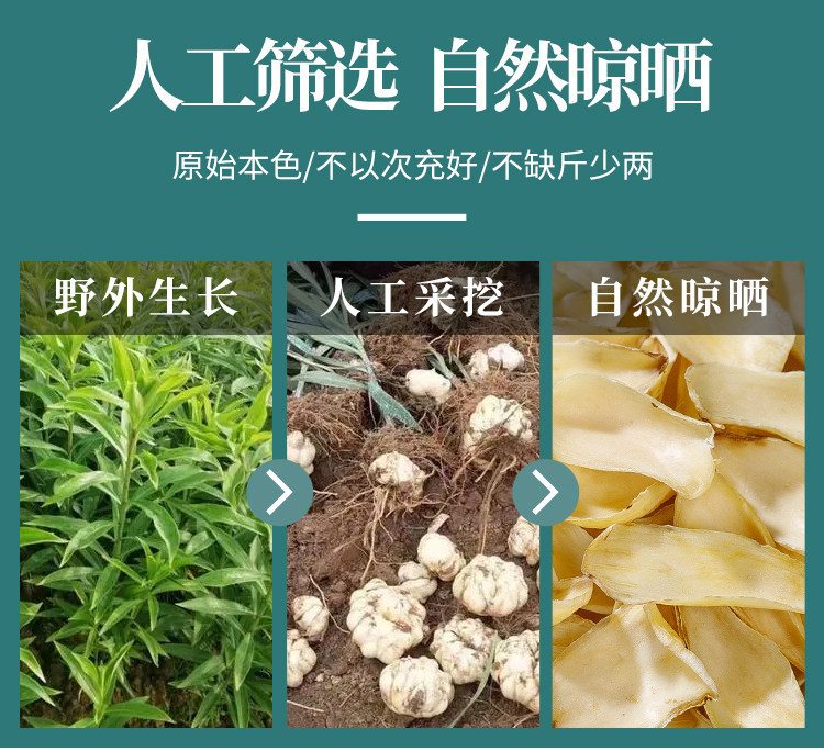 Dried Lily Bulb Bai He 500g Premium Longshan Medicinal Grade Herb key features