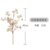 Peach blossom white