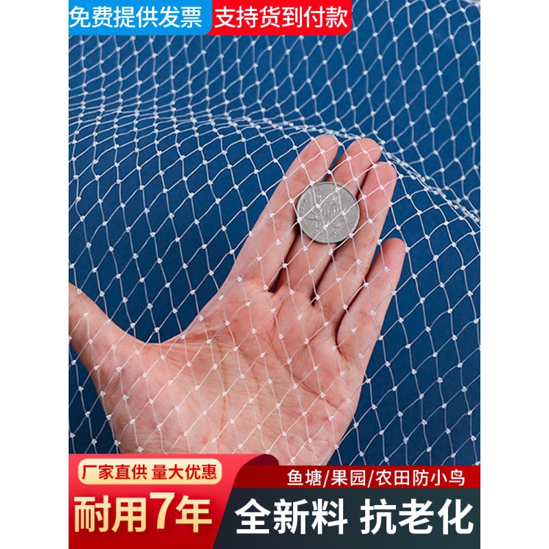 防鸟网果树果园大棚尼龙线防乌网阳台樱桃树葡萄窗户鱼塘用的天网