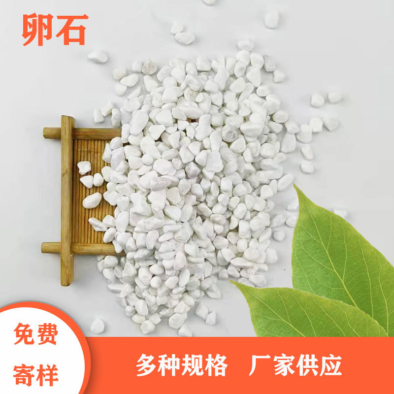 厂家供应 白色石子石头鹅卵石 园艺盆栽鱼缸造景 庭院铺路