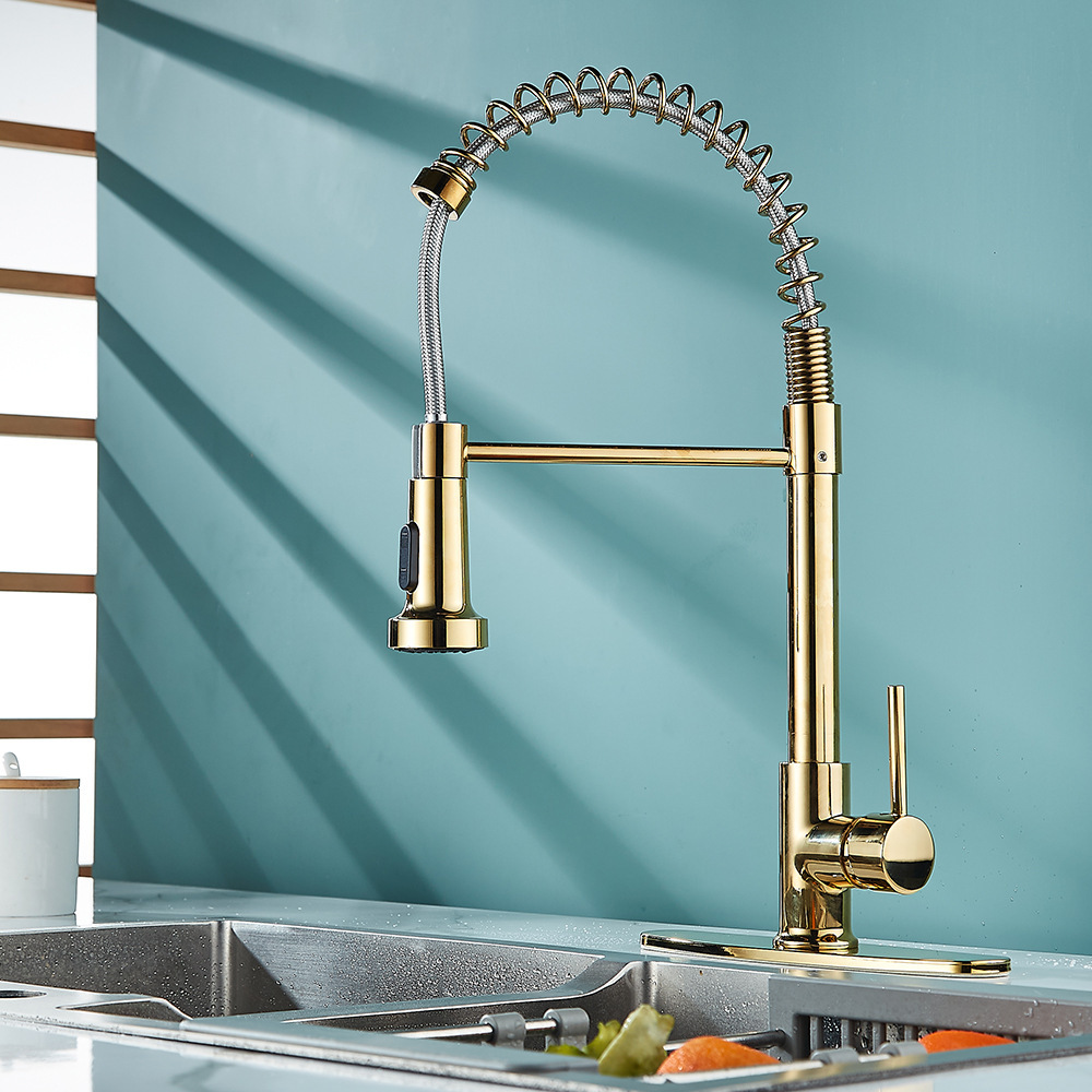 Grifos de cocina de primavera de doble función negros transfronterizos caliente y frío giratorios universales lavabo de verduras lavabo a prueba de salpicaduras